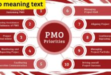 PMO Meaning Text