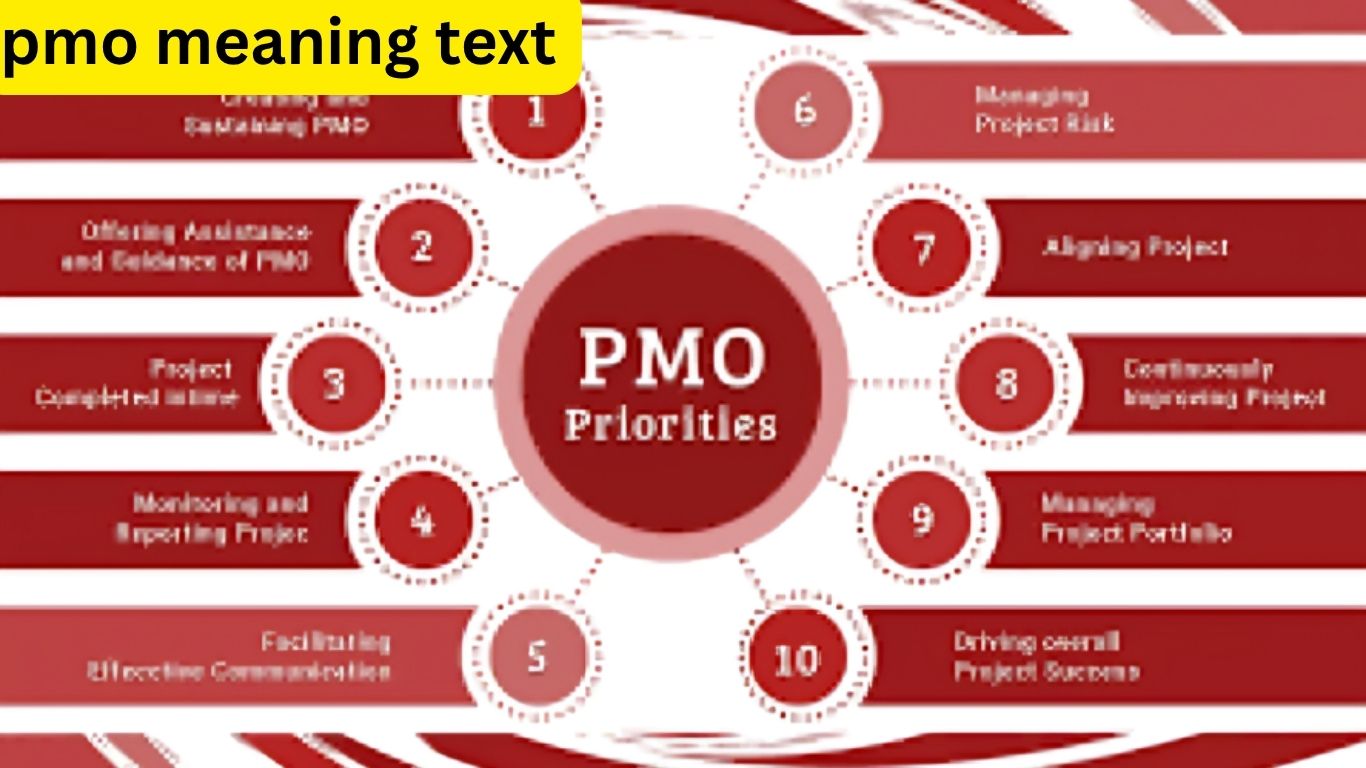 PMO Meaning Text